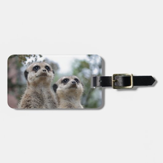 Meerkat - Dreamweaver Bagagelabel (Voorkant horizontaal)