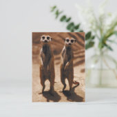 Meerkat Duo Briefkaart (Staand voorkant)