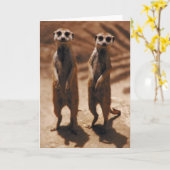 Meerkat Duo Kaart (Gele Bloem)