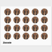 Meerkat Duo Ronde Sticker (Vel)