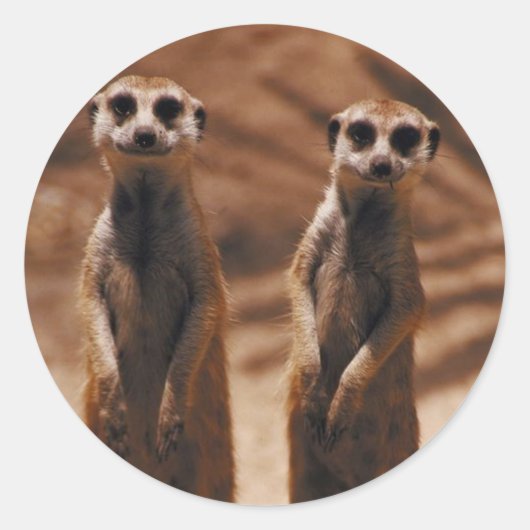Meerkat Duo Ronde Sticker (Voorkant)