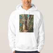 Meerkat en blauwe vlinders, hoodie (Voorkant)