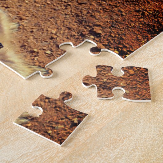 Meerkat Enclosure, Drusillas Park Legpuzzel (Zijkant)