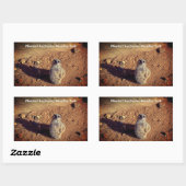 Meerkat Enclosure, Drusillas Park Sticker (Vel)