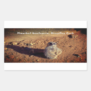 Meerkat Enclosure, Drusillas Park Sticker