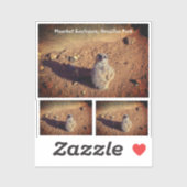 Meerkat Enclosure, Drusillas Park Sticker (Vel)