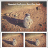 Meerkat Enclosure, Drusillas Park Sticker (Voorkant)