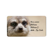 Meerkat Etiket (Voorkant)