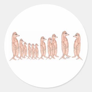 Meerkat Familie Sticker