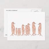 Meerkat Family Briefkaart (Voorkant / Achterkant)