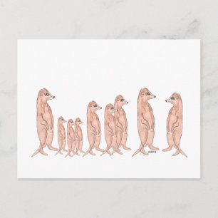 Meerkat Family Briefkaart