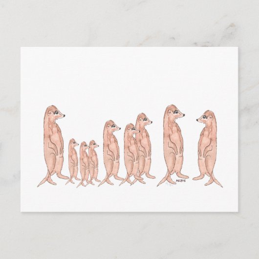 Meerkat Family Briefkaart (Voorkant)