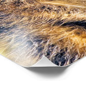 MEERKAT FOTO AFDRUK (Hoek)