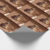 Meerkat-fotografie, papier met schroefdraad (Hoek)