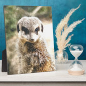 MEERKAT FOTOPLAAT (Zijkant)