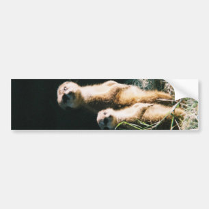 Meerkat Friends Bumpersticker