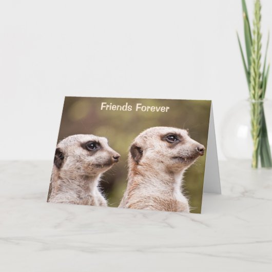 Meerkat Friends Forever Kaart (Voorkant)
