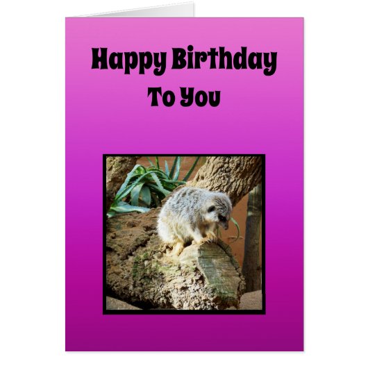 Meerkat Girls Birthday Theme (Voorkant)