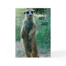 Meerkat Happy Vaderdag
