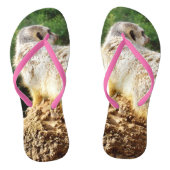 Meerkat I Spy, Teenslippers (Voetbed)