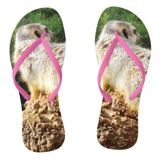 Meerkat I Spy, Teenslippers (Voetbed)