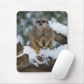 Meerkat in de sneeuw muismat (Met muis)