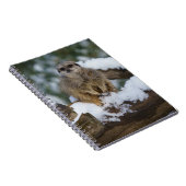 Meerkat in de sneeuw notitieboek (Rechterzijde)