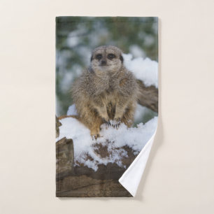 Meerkat in de sneeuwacryldruk handdoek