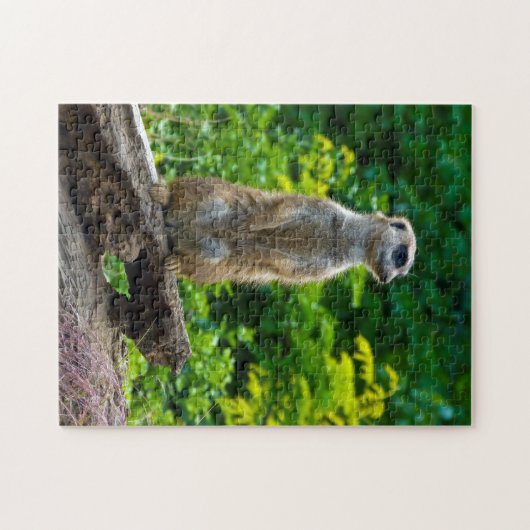 Meerkat in het bos Jigzaag puzzel Legpuzzel (Horizontaal)