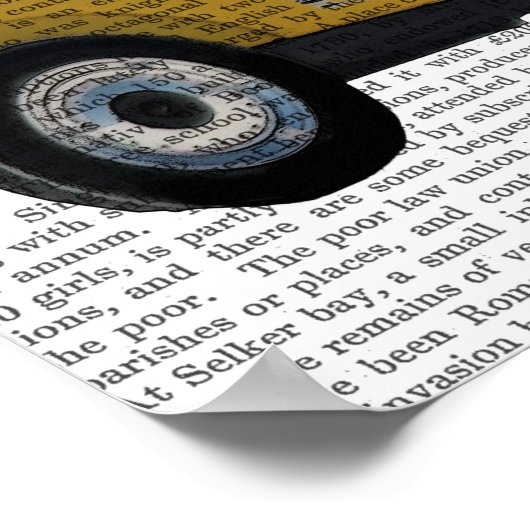 Meerkat in warme weg poster (Hoek)