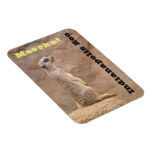 Meerkat Indianapolis Zoo Magneet