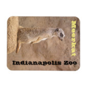 Meerkat Indianapolis Zoo Magneet (Horizontaal)