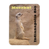 Meerkat Indianapolis Zoo Magneet (Verticaal)