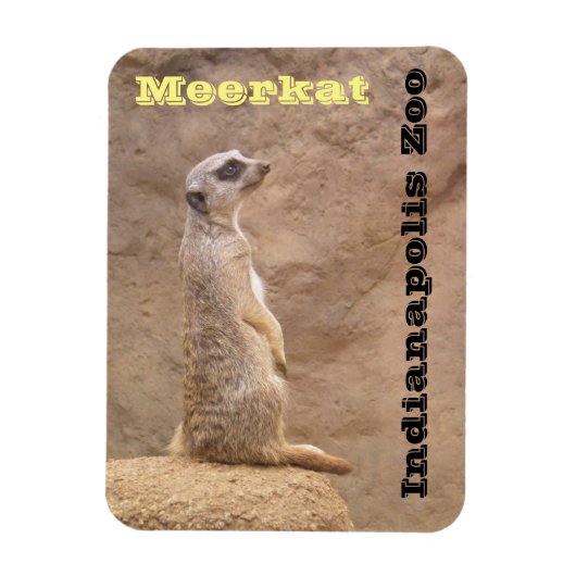 Meerkat Indianapolis Zoo Magneet (Verticaal)