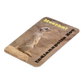 Meerkat Indianapolis Zoo Magneet (Linkerzijde)