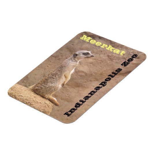 Meerkat Indianapolis Zoo Magneet (Linkerzijde)