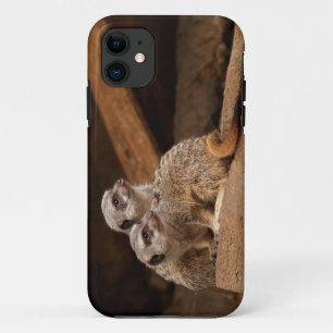 Meerkat iPhone 5 Case-Mate iPhone Case