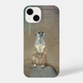 Meerkat iPhone Case Hoesje (Achterkant)