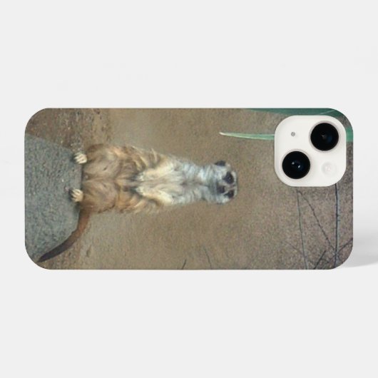 Meerkat iPhone Case iPhone Hoesje (Achterkant horizontaal)