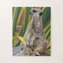 Meerkat Jigzaagpuzzle Legpuzzel