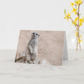 Meerkat Kaart (Gele Bloem)