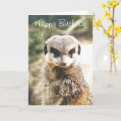 MEERKAT KAART (Gele Bloem)