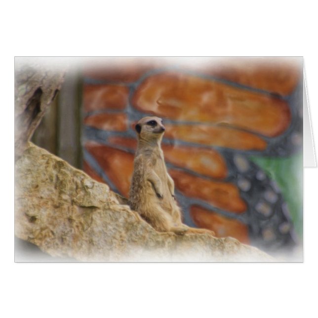 Meerkat-kaart (Voorkant Horizontaal)