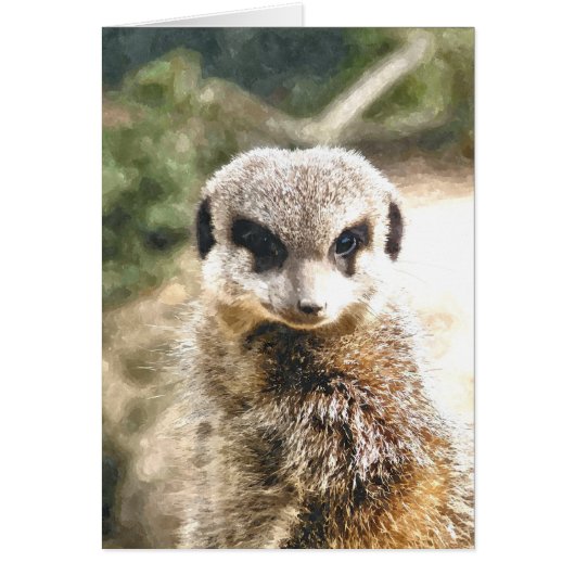 MEERKAT KAART (Voorkant)
