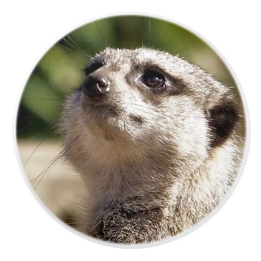 MEERKAT KERAMISCHE KNOP (Voorkant)