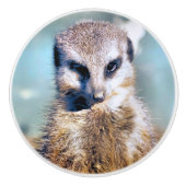 MEERKAT KERAMISCHE KNOP (Voorkant)