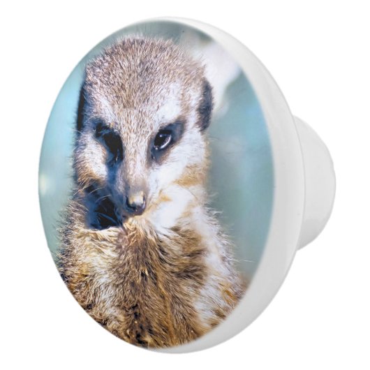 MEERKAT KERAMISCHE KNOP (Rechts)