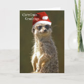 Meerkat Kerstgroeten Kaart (Voorkant)