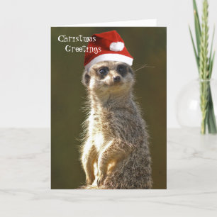 Meerkat Kerstgroeten Kaart