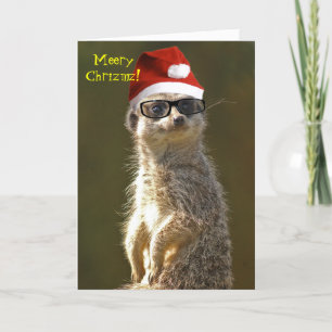 Meerkat-kerstkaart Feestdagen Kaart